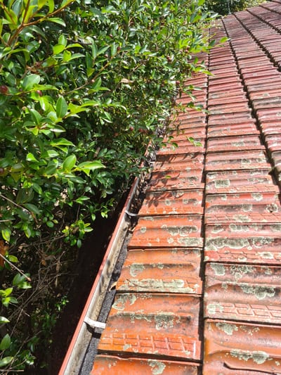 Gloved hands scooping leaves and debris out of a residential metal gutter